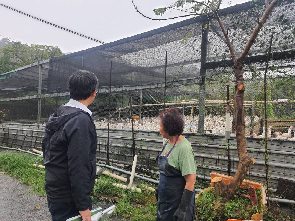 候鳥攜帶病原風險增加 養禽場圍網與消毒措施強化