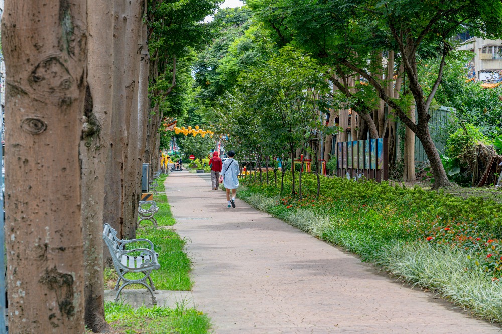 新北綠廊計畫 金山板南公園展現生態之美