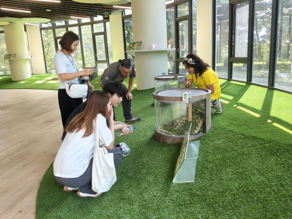 虎頭埤蟋蟀館轉型為親子環教館 假日提供志工深度解說與智慧互動新體驗 虎頭埤蟋蟀館轉型為親子環教館 假日提供志工深度解說與智慧互動新體驗