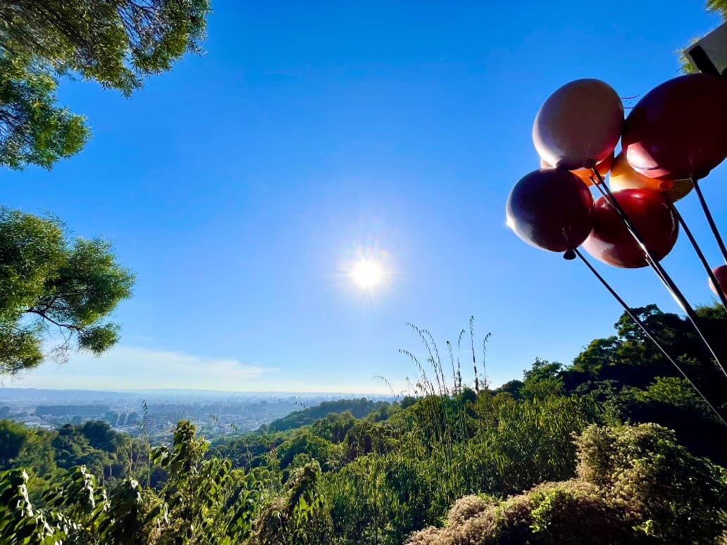 馬年走春首選大坑步道 健身放電賞景一次滿足 馬年走春首選大坑步道 健身放電賞景一次滿足