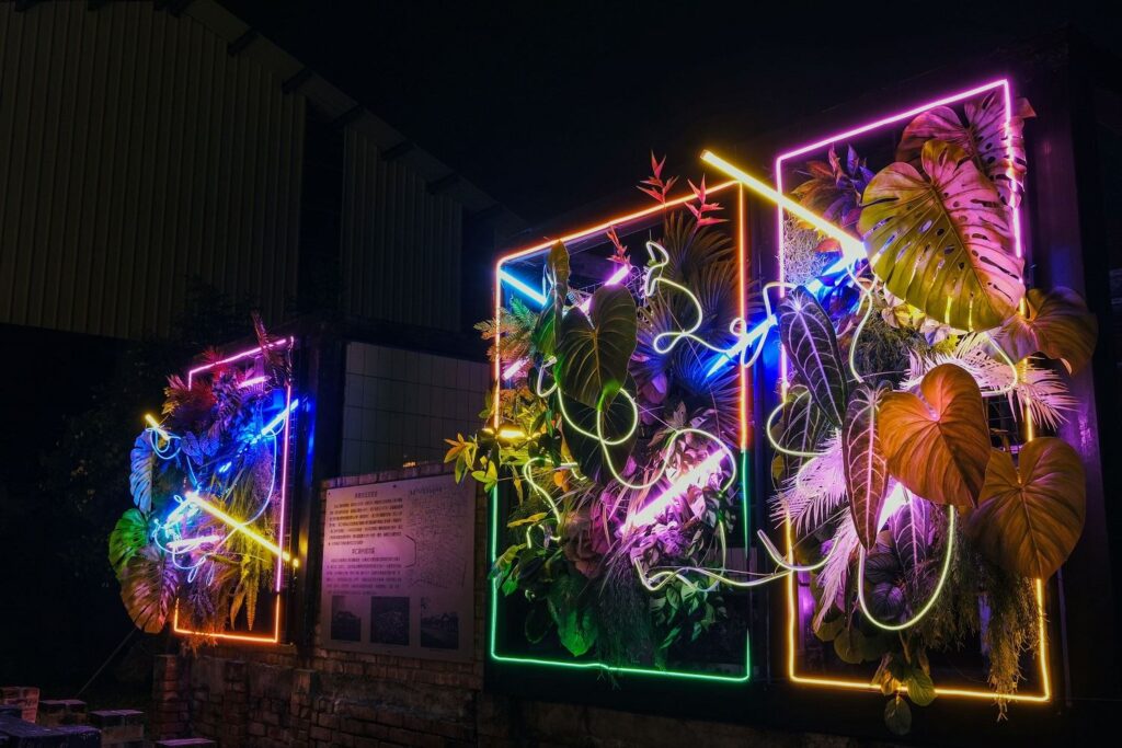 屏東勝利星村「星花開」美翻 人氣店家春節訂位「一位難求」