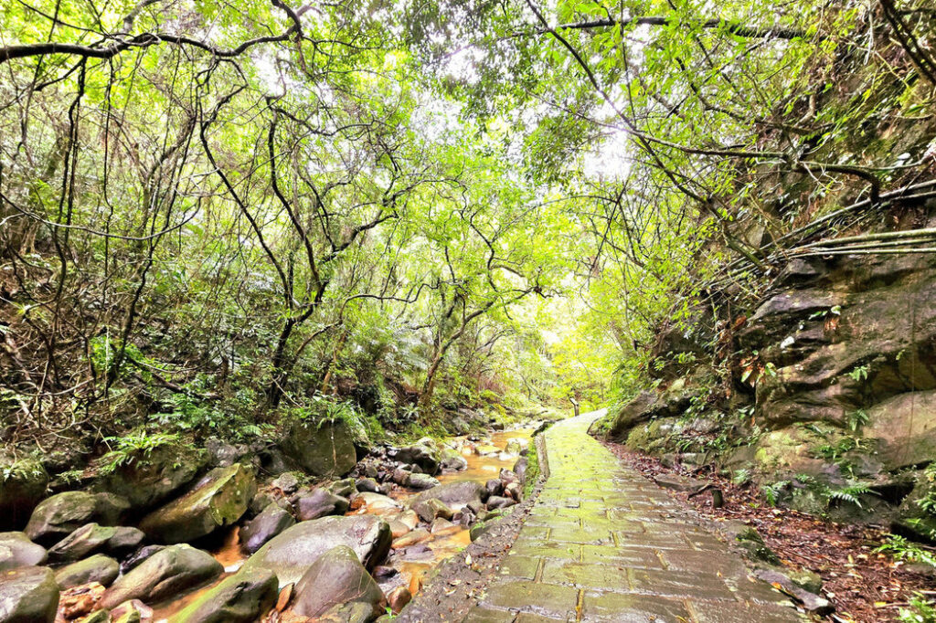 龍馬精神迎新春!內湖碧山巖賞景祈福好運來