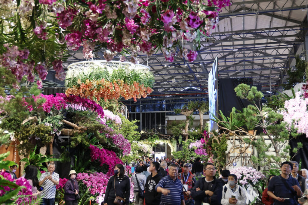 白天賞蘭展、晚上犁蜂炮!黃偉哲邀元宵日夜暢遊臺南雙重盛典