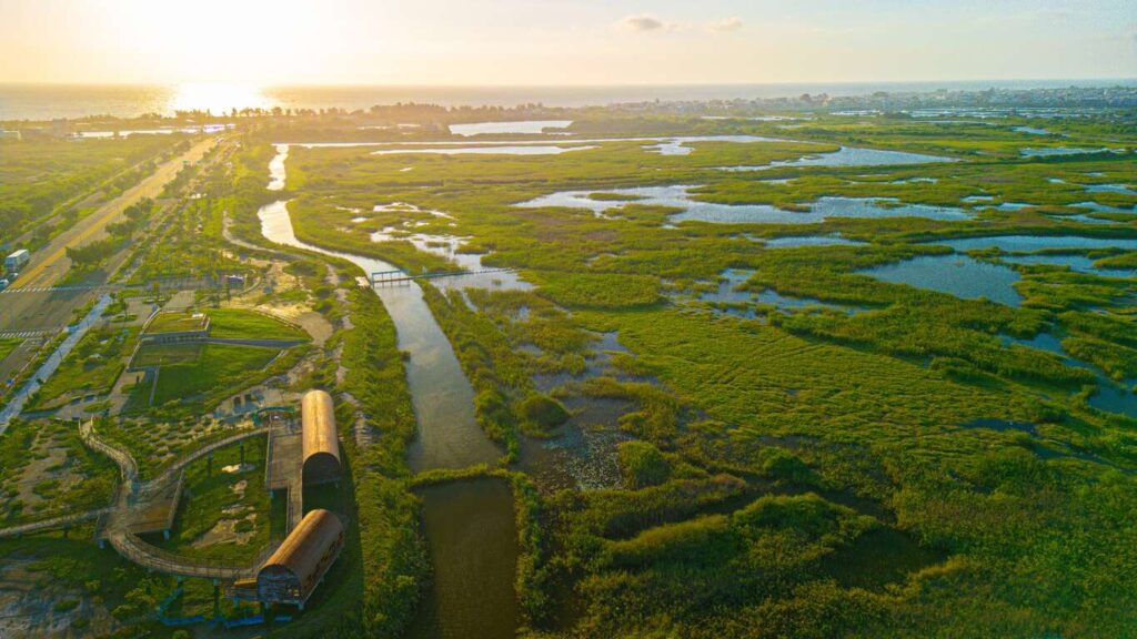 高市力推「海線潮旅行」體驗茄、永、彌、梓、林漁村風情 成團即補助4,500元