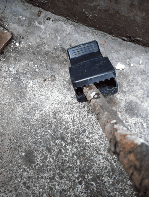 全台首推　新北啟動山區獸鋏及山豬吊回收獎勵制度